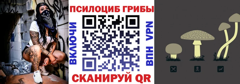blacksprut как зайти  Дятьково  Галлюциногенные грибы ЛСД 