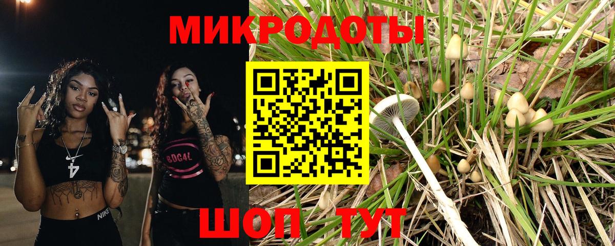 Псилоцибиновые грибы мухоморы  Дятьково 