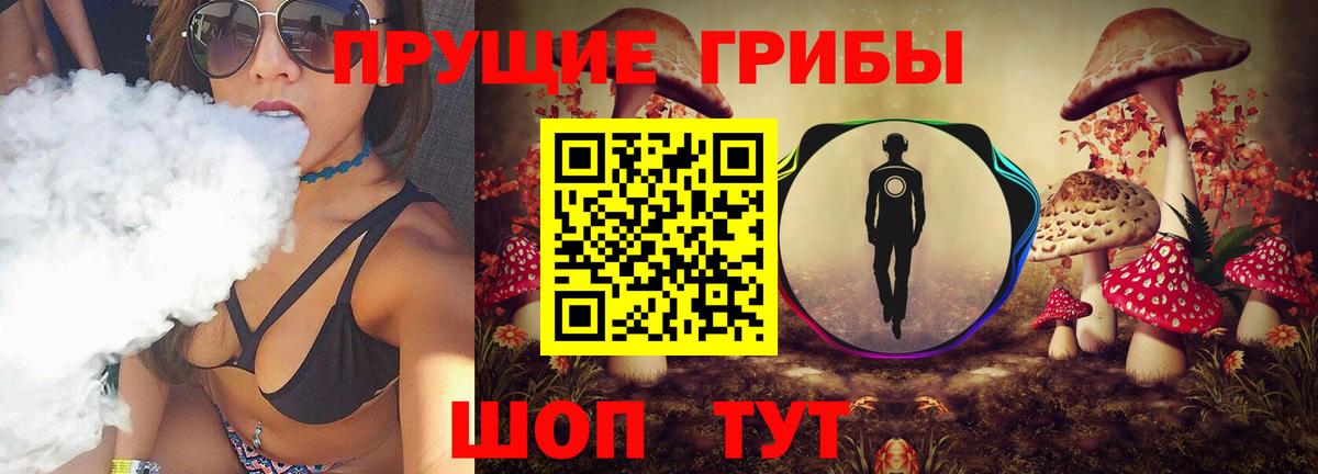 Галлюциногенные грибы Cubensis Дятьково