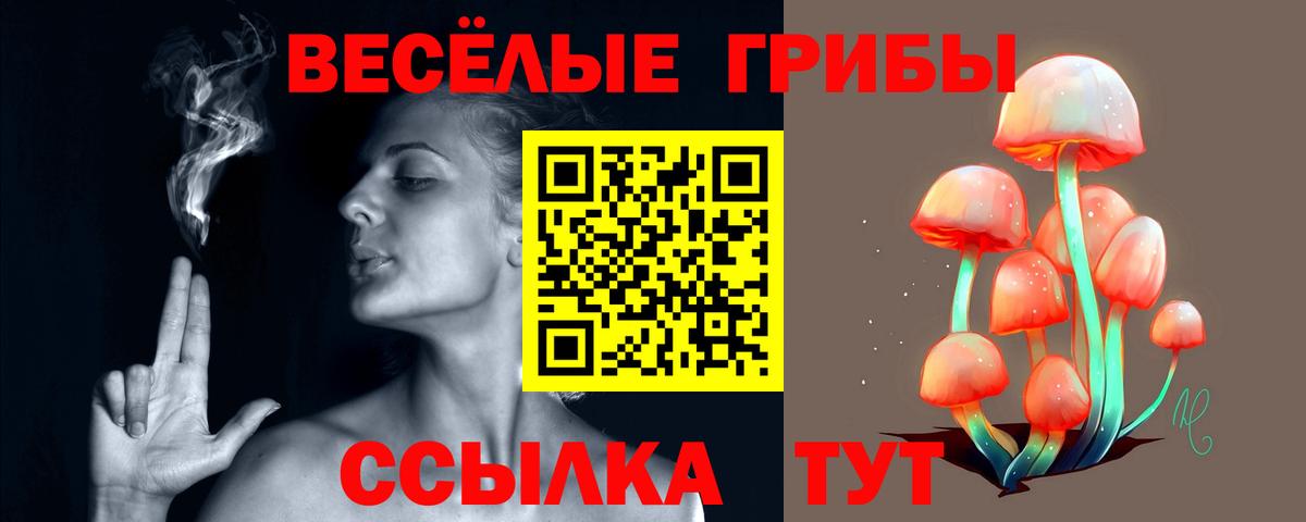 Псилоцибиновые грибы мухоморы  Вход с VPN  Дятьково 